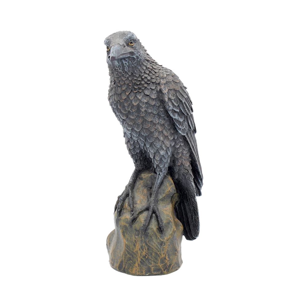 Ravens Rest 16cm Estimated Stock Arrival: 05/12/25