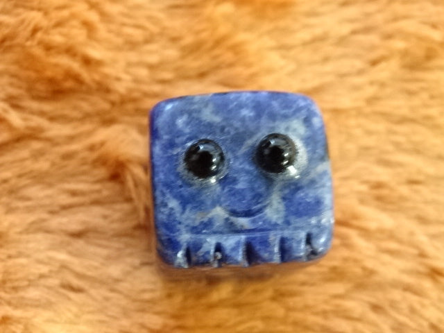 'Pet Rocks!'  Genuine Semi Precious Crystals