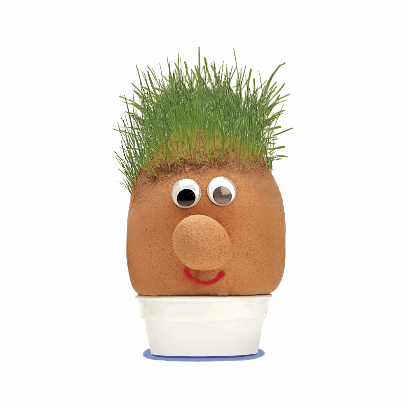 Mr Grass Head - Educational Science Kit